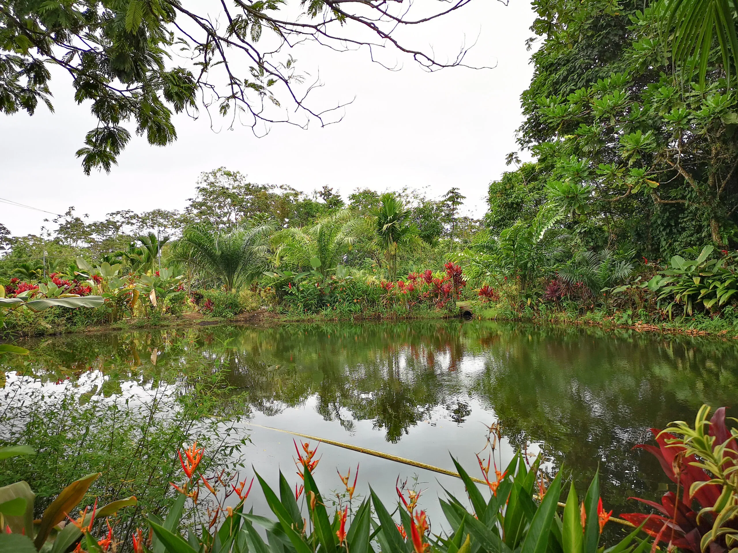 Horseback Riding Arenal Gallery