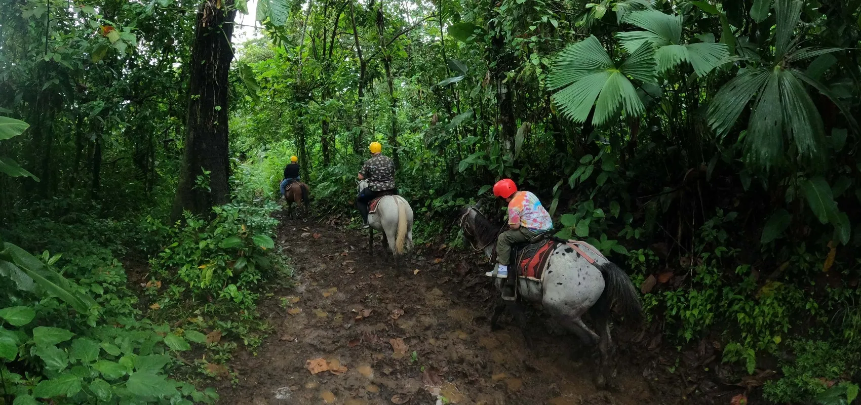 Horseback Riding Arenal Gallery