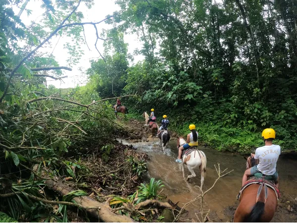 Horseback Riding Arenal Gallery